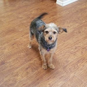 Meet Macie! My Posh Assistant!